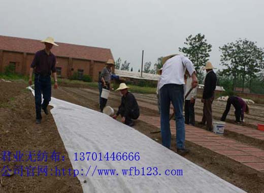 ˮ�����w����o������40�ˣ� [Ҏ(gu��)���R+