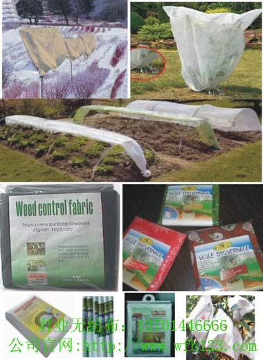 ���I(y��)����(y��ng)�r(n��ng)�ֈ@ˇ�o�������gӭ�����ԃ��