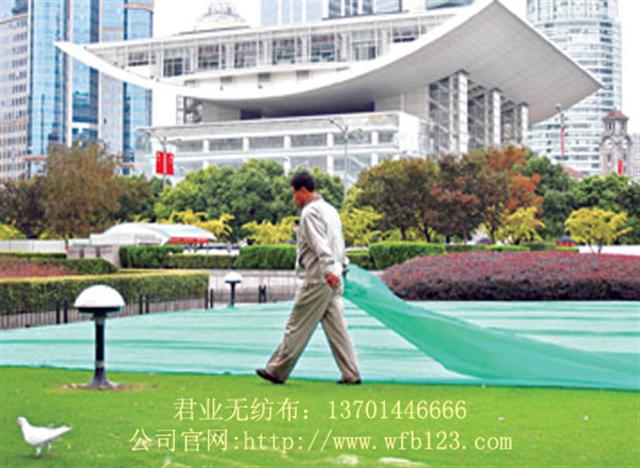 ���I(y��)����(y��ng)��ƺ���ßo�������gӭ�����ԃ��