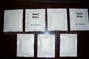 Hand Wipe ���ͼ��X���񼈽�