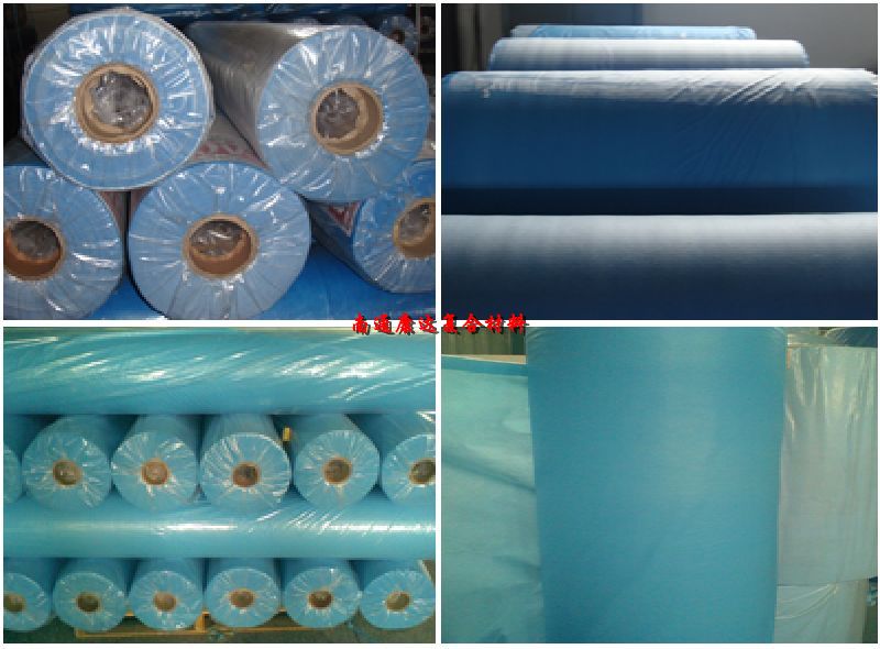 ����(y��ng)���o�PP�o����