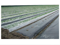 �h(hu��n)��ˮ������o����