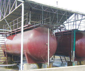 ���w�Sϵ���̈́�