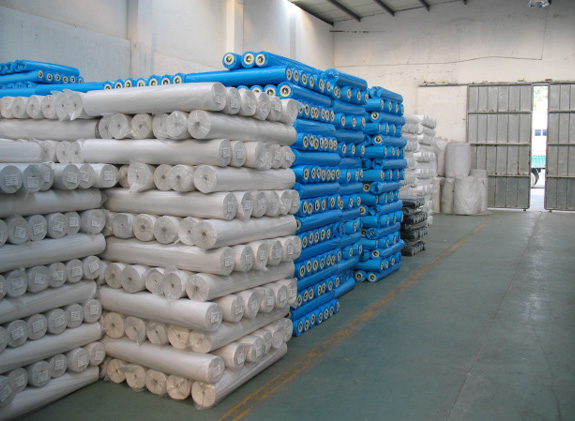 �C���r�� �C�����n�o����