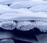 ���]�p�ӆνz�V��