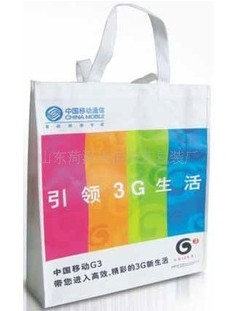 ���a(ch��n)�o����ُ�����