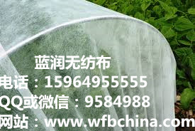 �@�֟o����15964955555