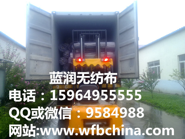 �Ҽ����ßo������15964955555