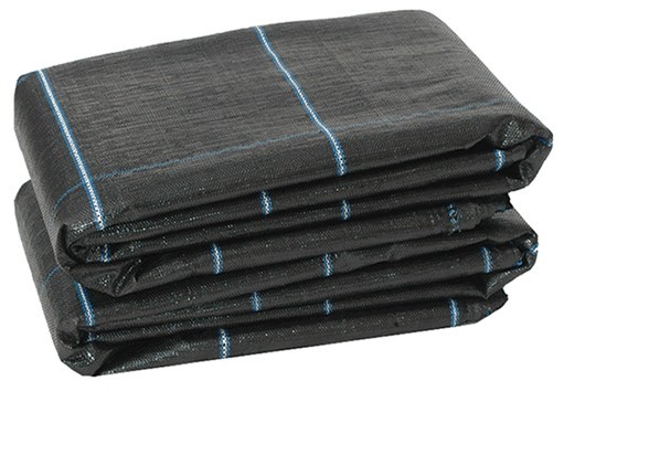 PP������