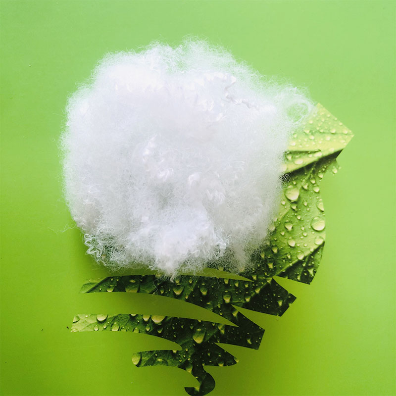 ������]���w