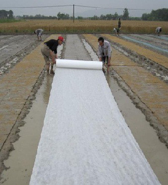 ˮ��������