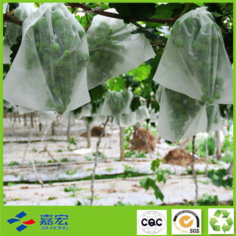 �����ַ��x�����⾀