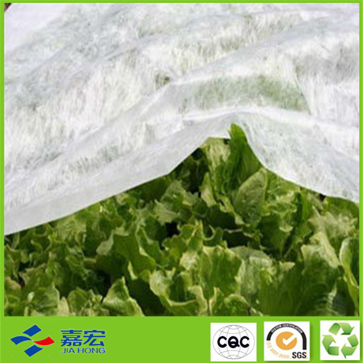 �h(hu��n)���o������Ĥ