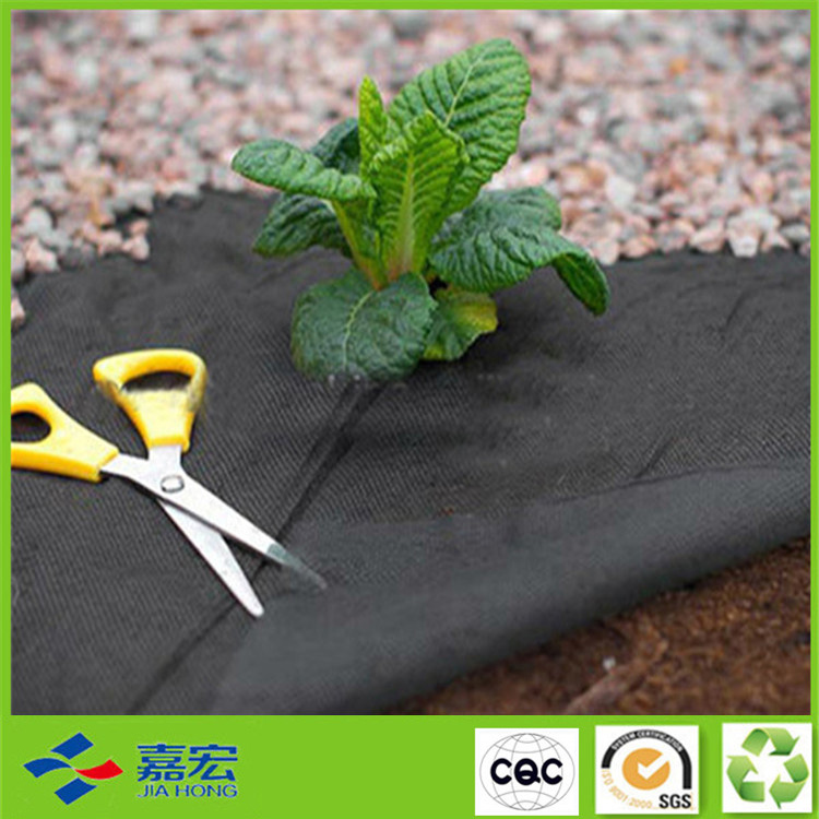 ���ݲ��݉|