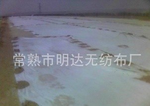 ��·�B(y��ng)�o(h��)������