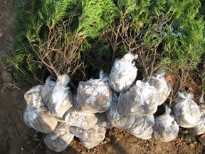 �����猣�ßo(w��)����