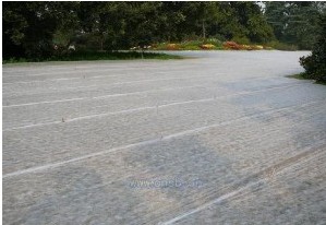 ��ƺ�o(w��)�������a(ch��n)�S��