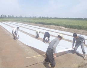 ˮ������o����