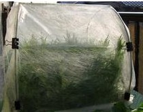 �߲˱��ط��x���ßo(w��)����