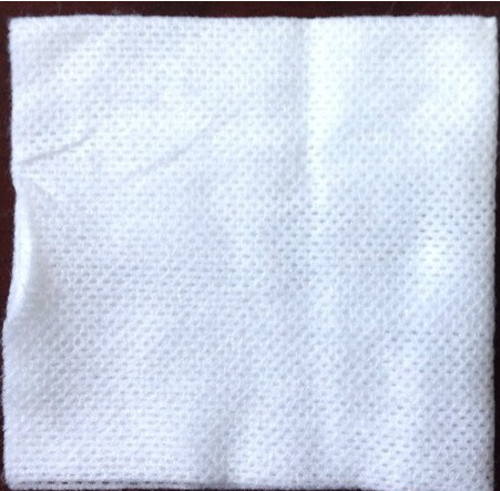 �o����ˎ��