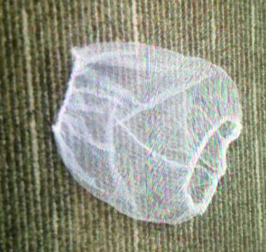 �o���������� 