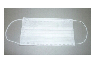 �o�������� 