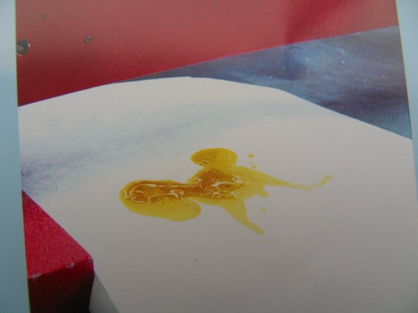 �����o늟o�������͚�