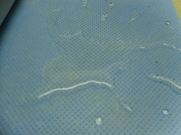 �����o�SMS&SMMS�o����