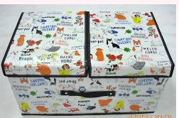 �o��������ˮ���ռ{��