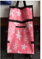 �o���������