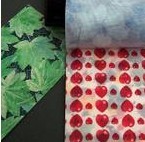 100%PET�����L�z��܈�o����