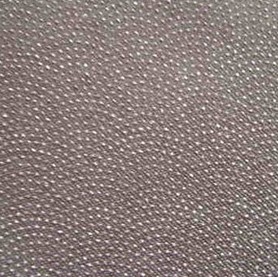 �p�c(di��n)�r