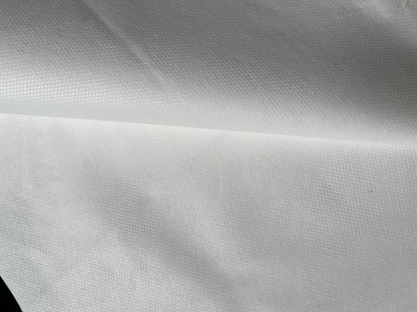 SS��Ĥ�o����