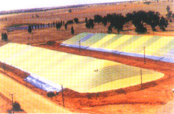 С���Z�}(c��ng)���