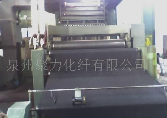 ����(y��ng)pp�o����