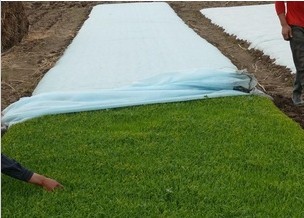 �r(n��ng)�I(y��)�o����