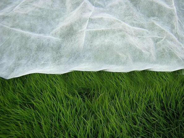 �r(n��ng)�I(y��)�ü�ճ�o����