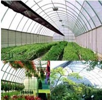  ���ϻ�PP��ճ�o����