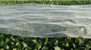 ���ϻ��o�������o����