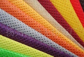 �o������PP