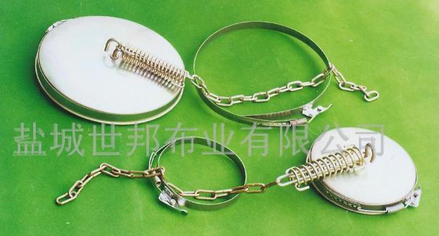 �^�V�����