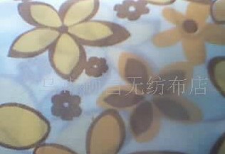 PPӡ���o����