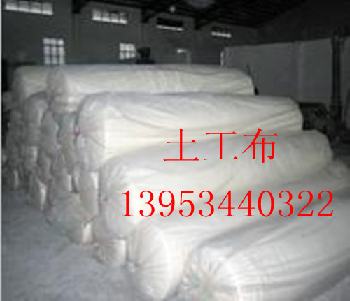 200���������S�� ����Ӣ