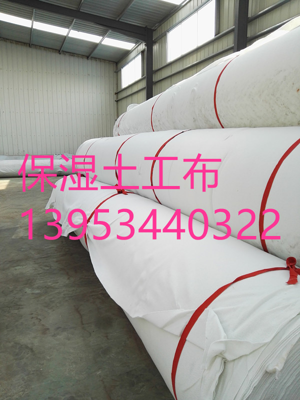 ɽ��150�˱����������S��