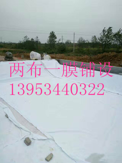 �Ϻ����ٹ�·�ָ�550�˃ɲ�һĤ�S��