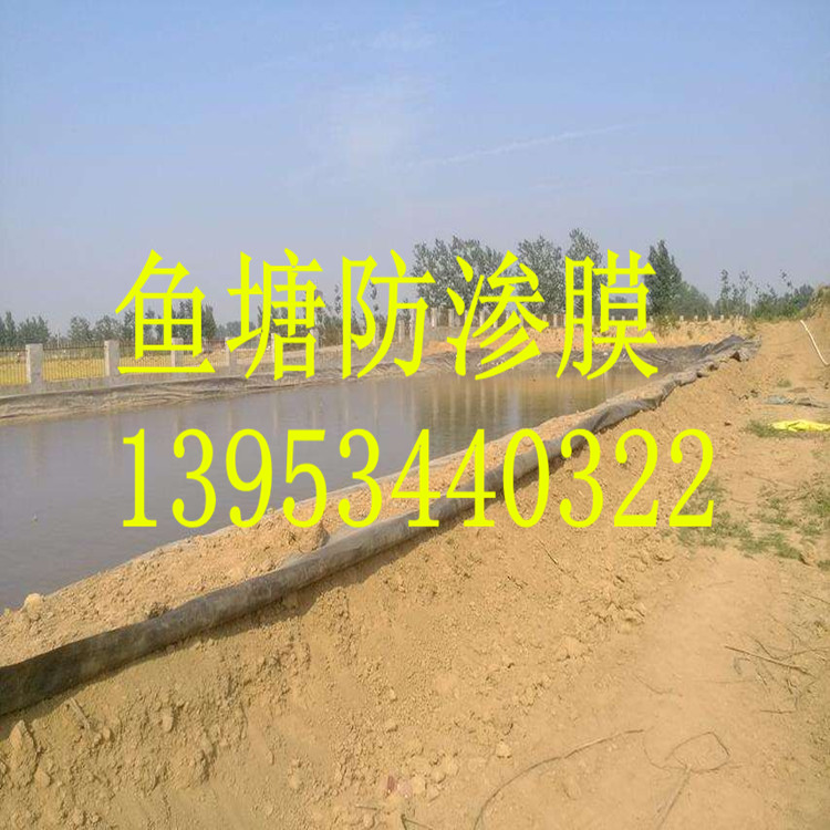 ɽ���\(y��n)��0.5mm�~���h(hu��n)�����BĤ�S��