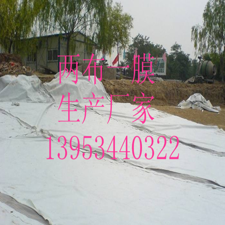 �ɲ�һĤ ɽ�|600�˃ɲ�һĤ�S��