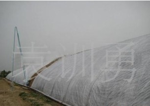 �B(y��ng)ֳ�����ßo����