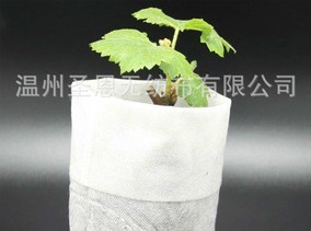 �r�ßo���� 