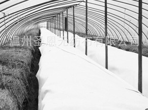 �r(n��ng)�ßo(w��)����